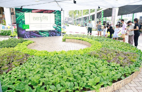 Các gia đình có thêm kiến thức, kinh nghiệm để tự thực hiện vườn rau tại nhà khi tham quan mô hình, nghe chia sẻ cách trồng rau hữu cơ.