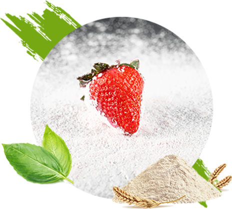 Giới Thiệu Về CLASSY FOODS